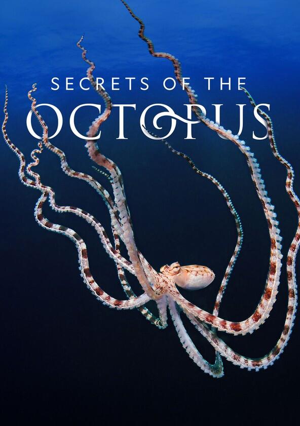 Secrets of the Octopus - Season 1 Secrets of the Octopus - Season 1