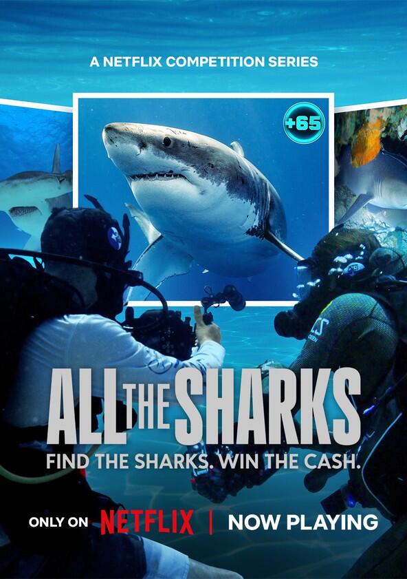 All the Sharks - Season 1
