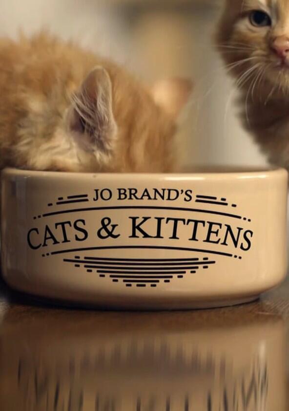 Jo Brand's Cats and Kittens - Season 1 Jo Brand's Cats and Kittens - Season 1