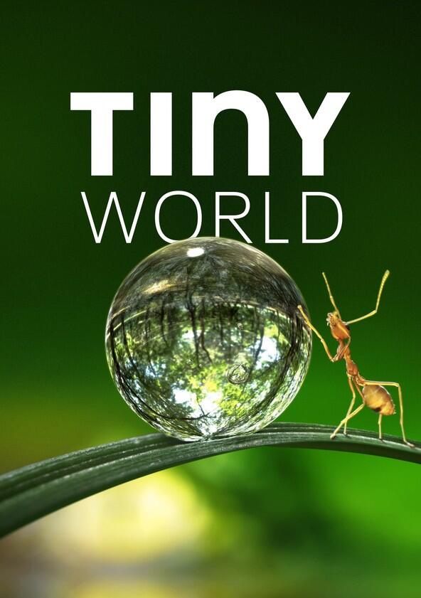 Tiny World - Season 1 Tiny World - Season 1