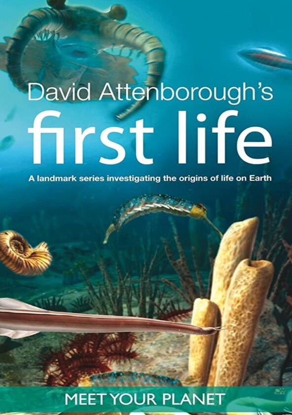 David Attenborough's First Life - Season 1 David Attenborough's First Life - Season 1