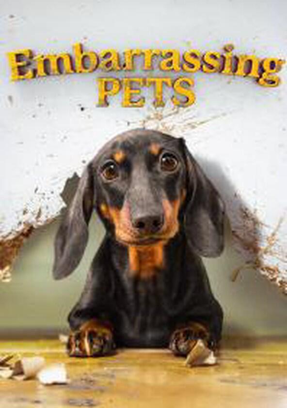Embarrassing Pets - Season 1 Embarrassing Pets - Season 1