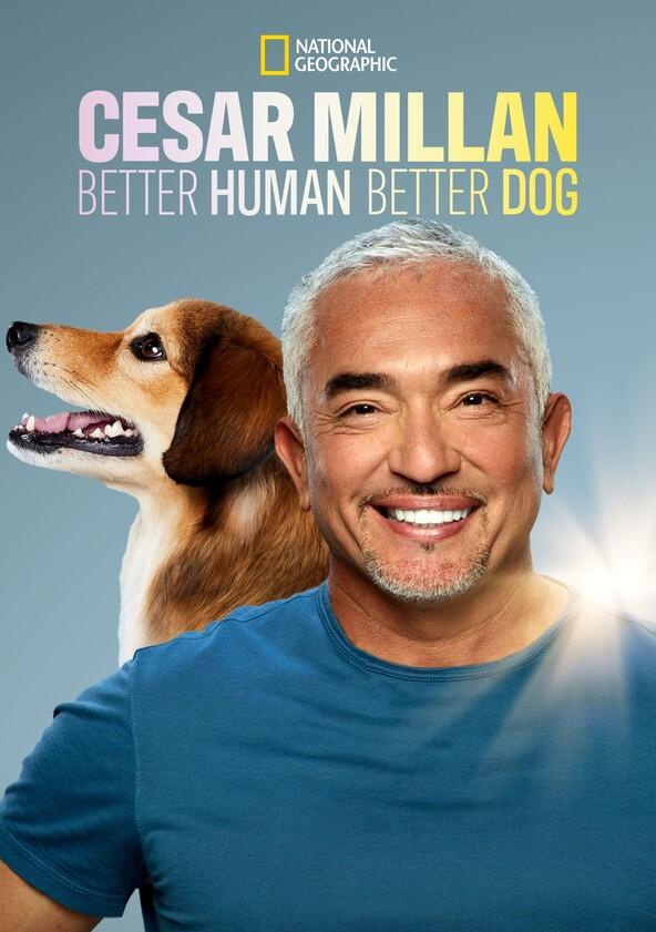 Cesar Millan: Better Human Better Dog - Season 2 Cesar Millan: Better Human Better Dog - Season 2