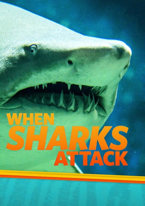 When Sharks Attack - Season 3 When Sharks Attack - Season 3
