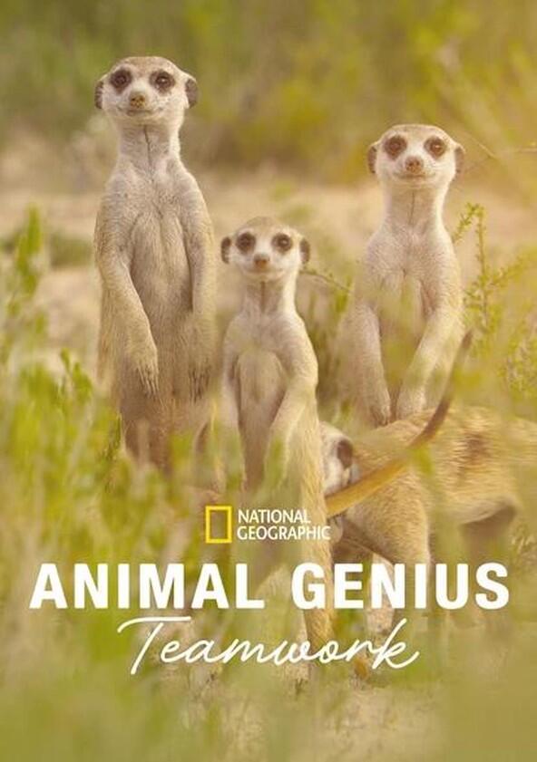 Animal Genius - Season 1 Animal Genius - Season 1