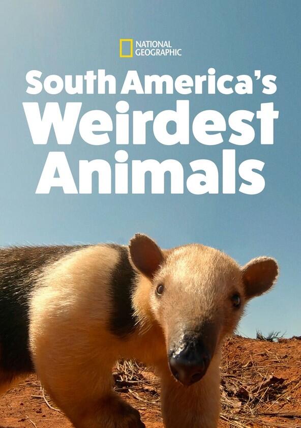 South Americas Weirdest Animals - Season 1 South Americas Weirdest Animals - Season 1