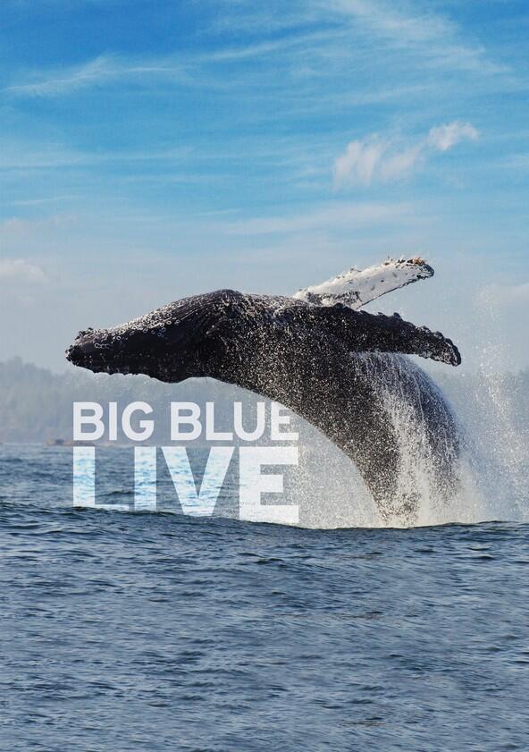Big Blue Live - Season 1 Big Blue Live - Season 1