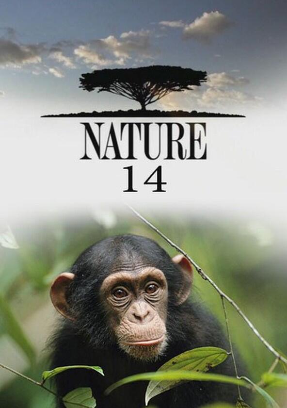 Nature - Season 14 Nature - Season 14
