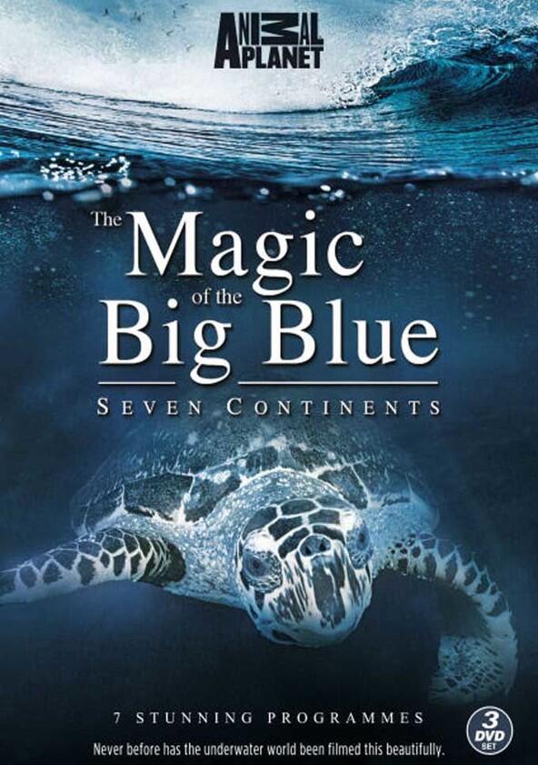 The Magic of the Big Blue - Season 1 The Magic of the Big Blue - Season 1