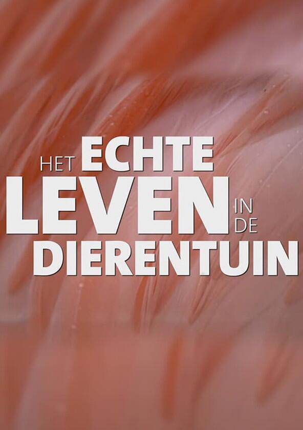 Het echte leven in de dierentuin Het echte leven in de dierentuin