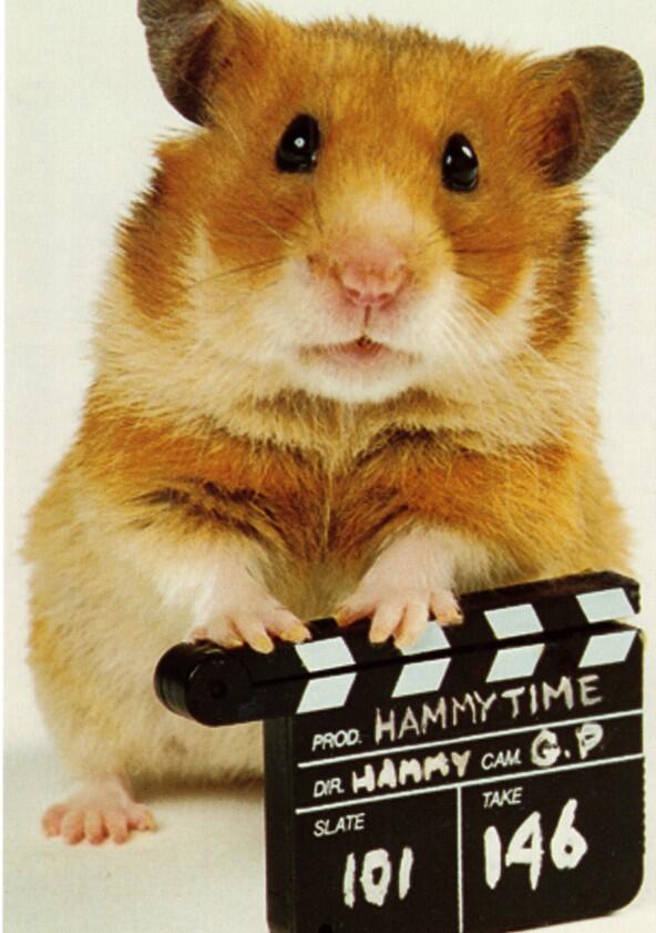 Once Upon a Hamster - Season 4 Once Upon a Hamster - Season 4