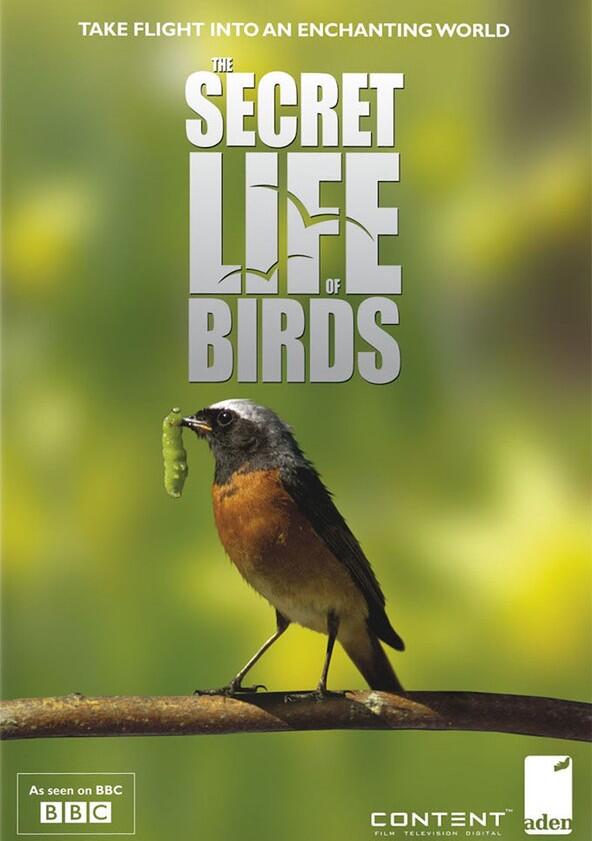 Iolo's Secret Life of Birds - Season 1 Iolo's Secret Life of Birds - Season 1