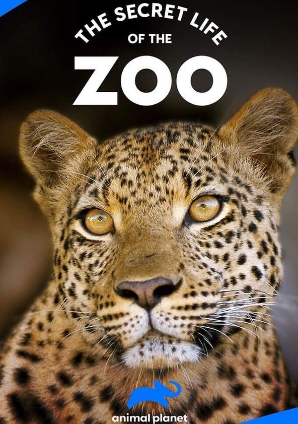 The Secret Life of the Zoo - Season 2 The Secret Life of the Zoo - Season 2