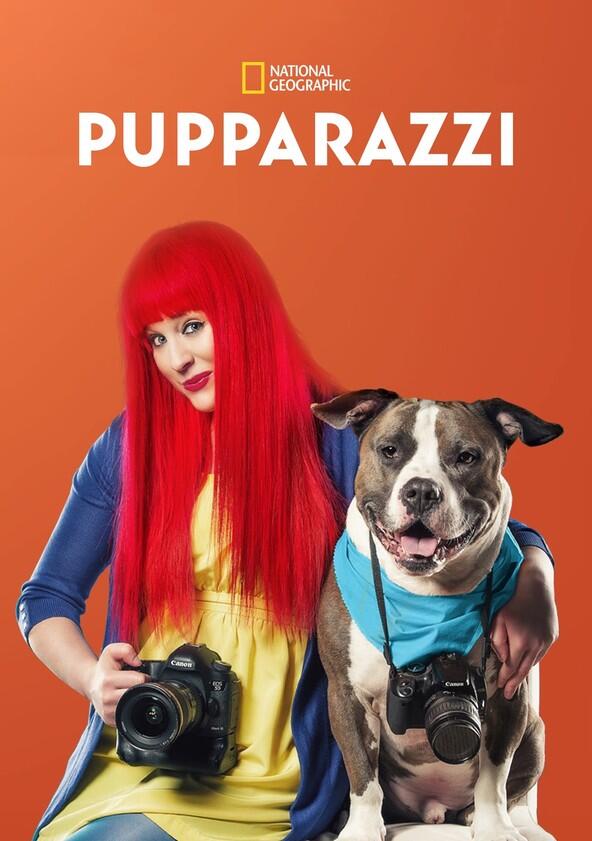 Pupparazzi - Season 1 Pupparazzi - Season 1