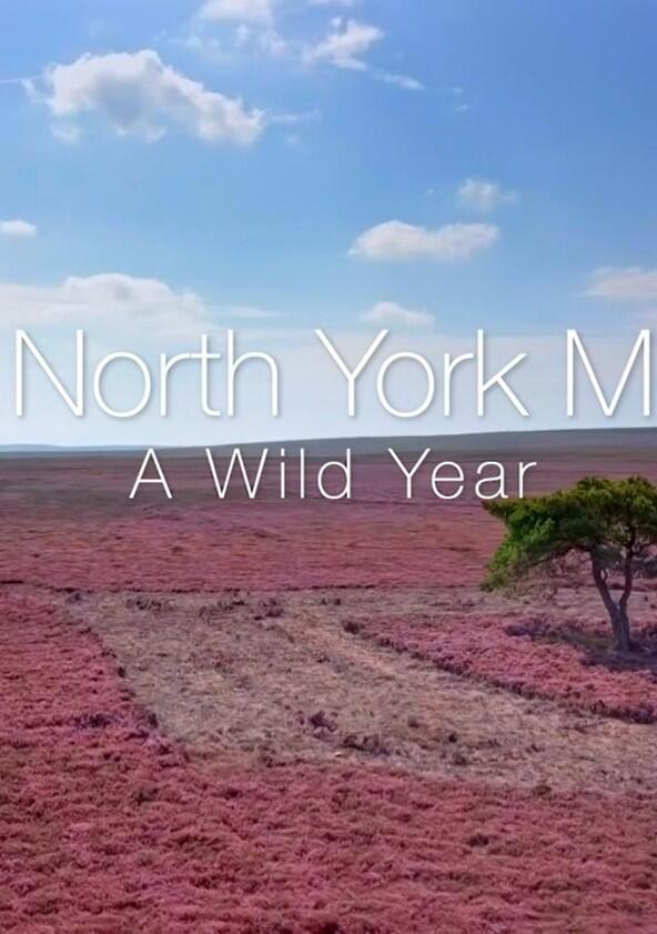 A Wild Year - Season 1 A Wild Year - Season 1