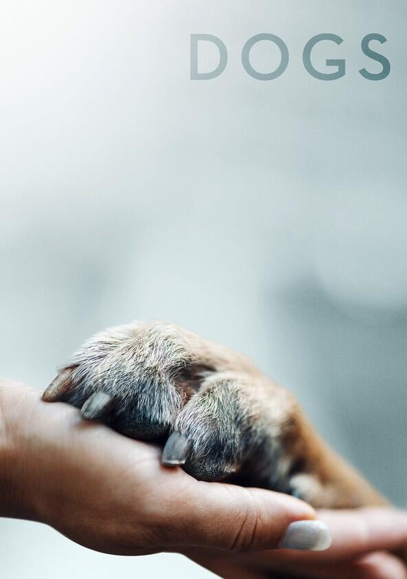 Dogs - Season 1 Dogs - Season 1