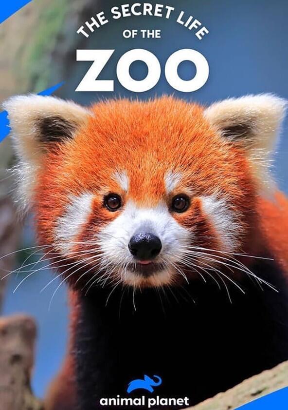The Secret Life of the Zoo - Season 4 The Secret Life of the Zoo - Season 4