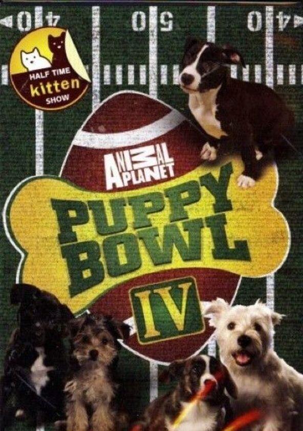 Puppy Bowl - Season 3 / Year 2006 Puppy Bowl - Season 3 / Year 2006
