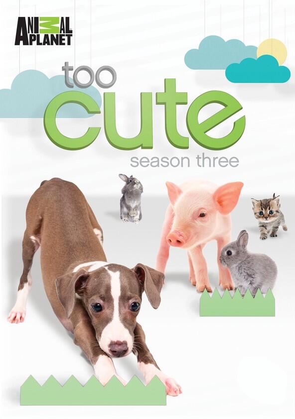 Too Cute! - Season 3 Too Cute! - Season 3