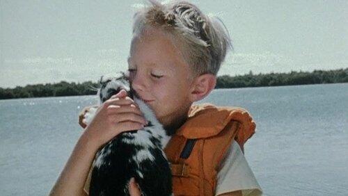 Ett litet djur åt Pelle Ett litet djur åt Pelle
