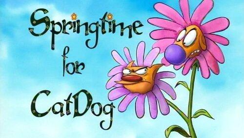 Springtime for CatDog