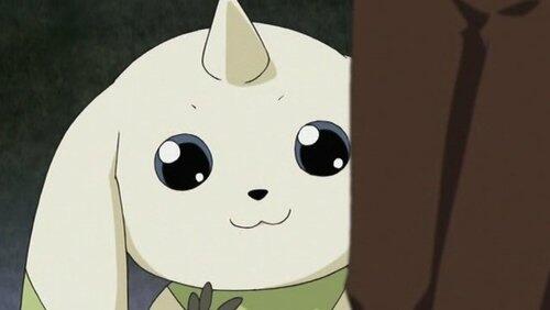 Digimon, Digimon Everywhere (2) Digimon, Digimon Everywhere (2)