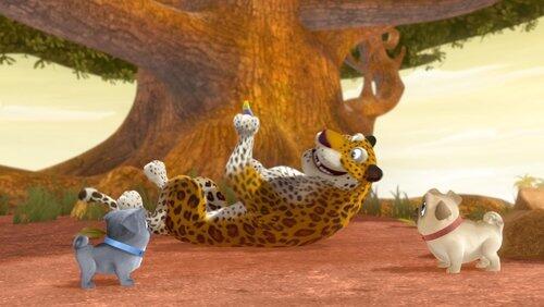 Speedy as a Cheetah Speedy as a Cheetah