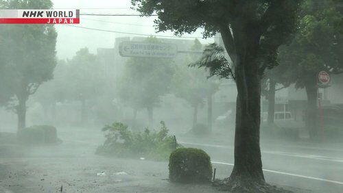 #23 Typhoon Forecasting #23 Typhoon Forecasting