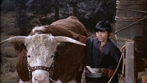 El Toro Grande El Toro Grande