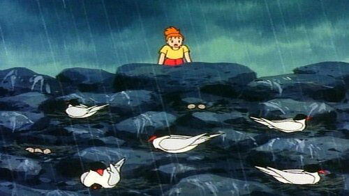 Big panic in the North sea oilfield: Protect the seabird! Big panic in the North sea oilfield: Protect the seabird!