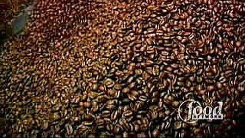 True Brew True Brew
