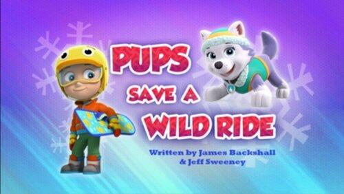 Pups Save a Wild Ride Pups Save a Wild Ride