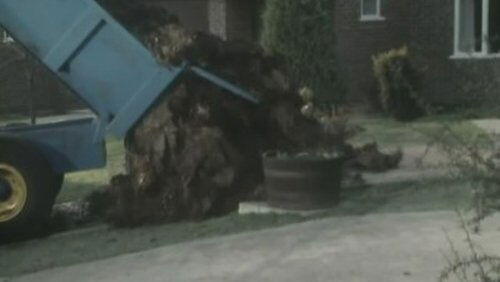 Manure Manure