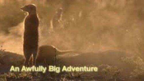 An Awfully Big Adventure An Awfully Big Adventure