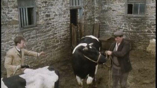 The Bull with the Bowler Hat The Bull with the Bowler Hat