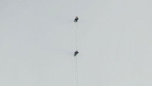 The Basket of Cherries