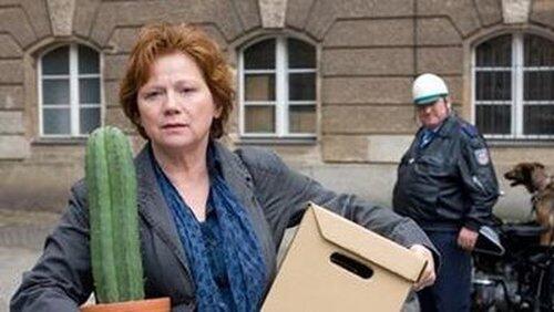 Fremde im Spiegel Fremde im Spiegel