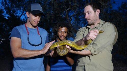 Inland Taipan Inland Taipan