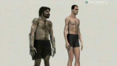 Neanderthals Neanderthals
