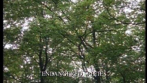 Endangered Species Endangered Species