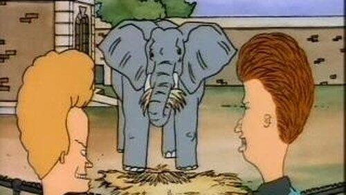 Walking Erect Walking Erect