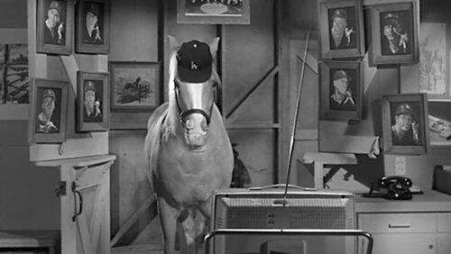 Leo Durocher Meets Mister Ed Leo Durocher Meets Mister Ed