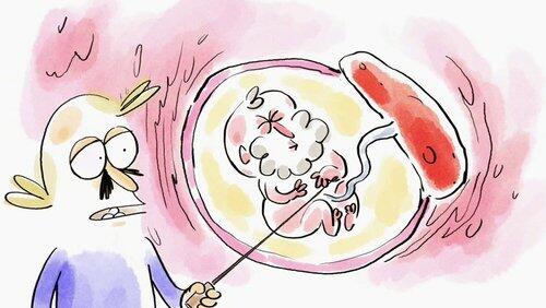 Placentophagie