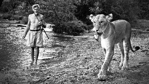 Elsa: The Lioness That Changed the World Elsa: The Lioness That Changed the World