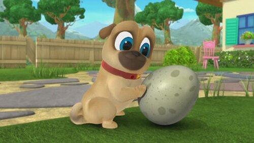 What to Expect When You're Egg-specting What to Expect When You're Egg-specting