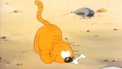In the Beginning / Catlympic Cats In the Beginning / Catlympic Cats