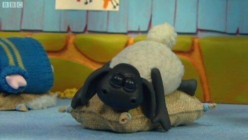 Sweet Dreams Timmy Sweet Dreams Timmy