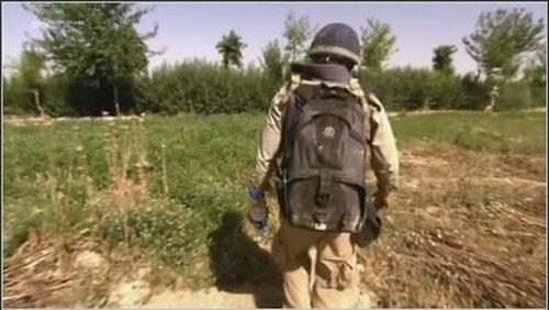 Now Zad Base Now Zad Base