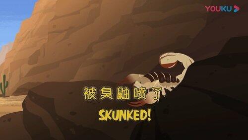 Skunked! Skunked!