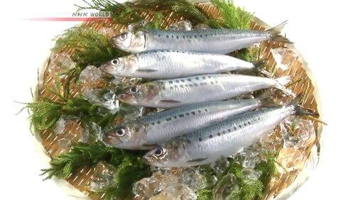 Sardine Sardine